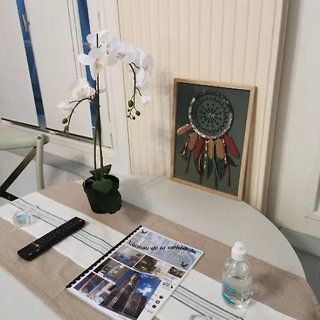 Apartment L'oiseau De La Cathedrale - Calme - Jardin - Wifi Troyes