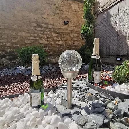 L'oiseau De La Cathedrale - Calme - Jardin - Wifi * Troyes