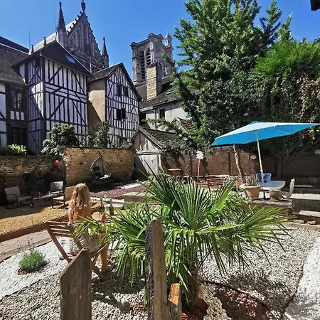 L'oiseau De La Cathedrale - Calme - Jardin - Wifi Apartment Troyes