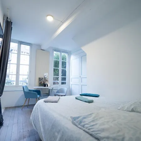 L'oiseau De La Cathedrale - Calme - Jardin - Wifi Apartment Troyes