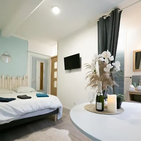 Apartment L'oiseau De La Cathedrale - Calme - Jardin - Wifi Troyes